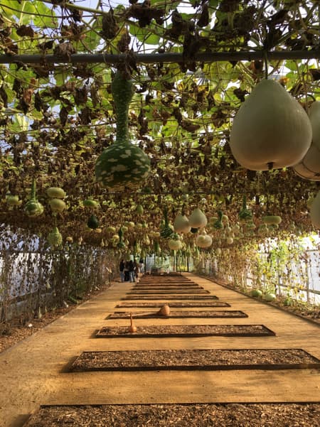 Le Potager Extraordinaire Center